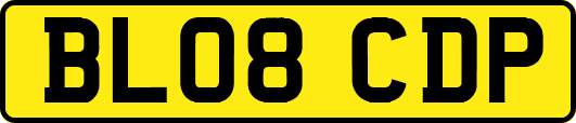 BL08CDP