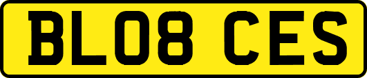 BL08CES
