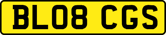 BL08CGS