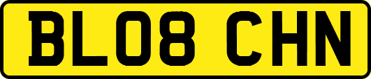 BL08CHN