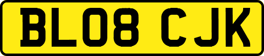 BL08CJK