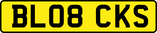 BL08CKS