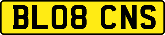 BL08CNS
