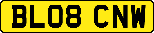 BL08CNW