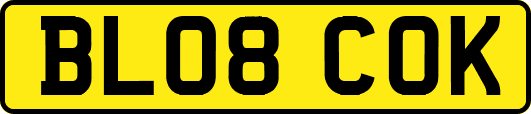 BL08COK