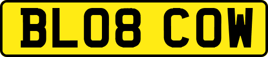 BL08COW