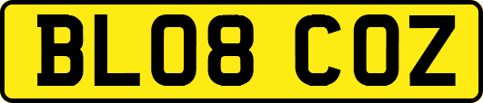 BL08COZ