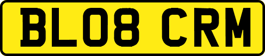 BL08CRM