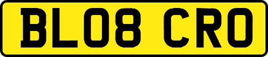 BL08CRO