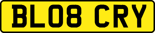 BL08CRY