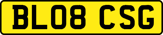 BL08CSG