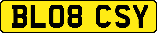 BL08CSY