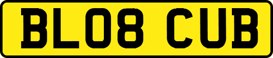 BL08CUB