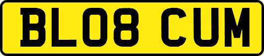 BL08CUM