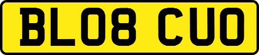 BL08CUO