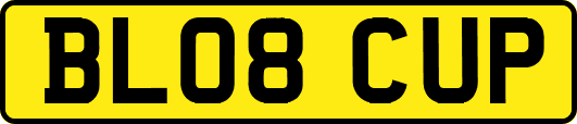 BL08CUP