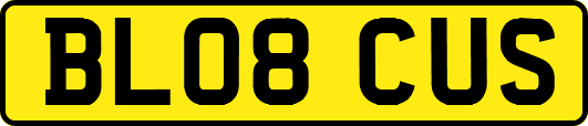 BL08CUS