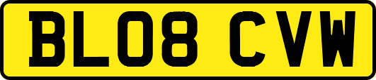 BL08CVW