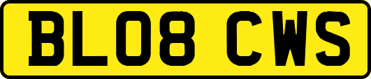 BL08CWS