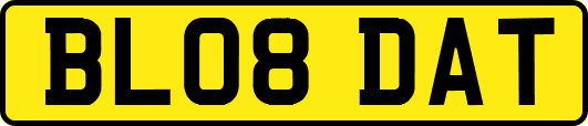 BL08DAT