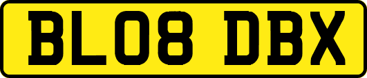 BL08DBX