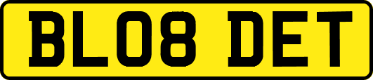 BL08DET