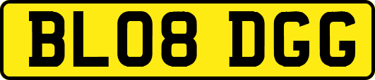 BL08DGG