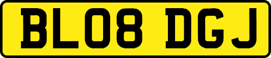 BL08DGJ