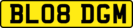 BL08DGM