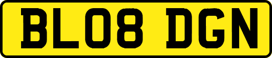 BL08DGN