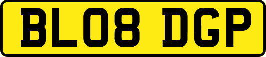 BL08DGP
