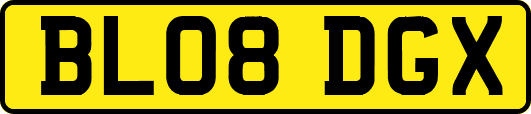 BL08DGX