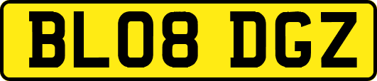 BL08DGZ