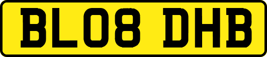 BL08DHB