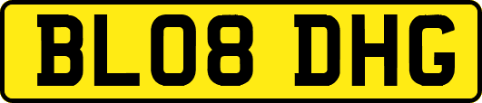 BL08DHG