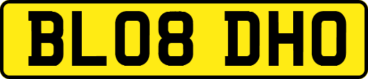 BL08DHO