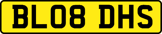 BL08DHS