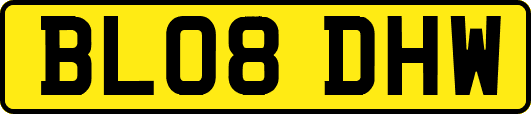 BL08DHW