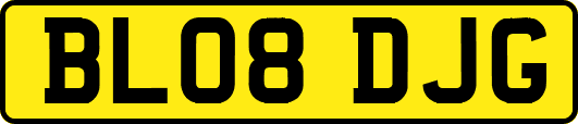 BL08DJG