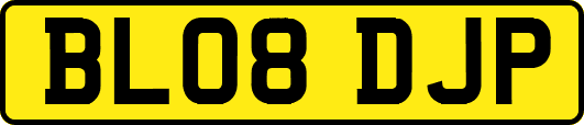 BL08DJP