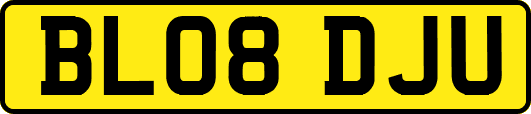 BL08DJU