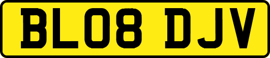 BL08DJV