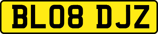 BL08DJZ