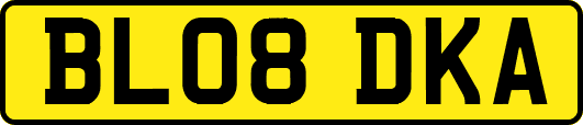 BL08DKA