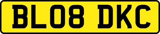 BL08DKC