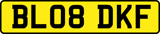BL08DKF