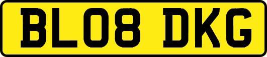 BL08DKG