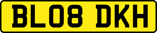 BL08DKH