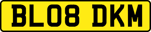 BL08DKM