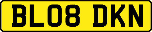 BL08DKN